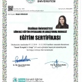 Resmi büyüt: certificate 9