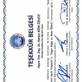 Resmi büyüt: certificate 8