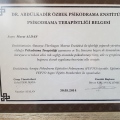 Resmi büyüt: certificate 3