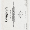 Resmi büyüt: certificate 11