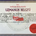 Resmi büyüt: certificate 2