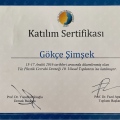 Resmi büyüt: certificate 3