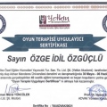 Resmi büyüt: certificate 4