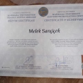 Resmi büyüt: certificate 32