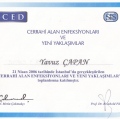 Resmi büyüt: certificate 42
