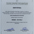 Resmi büyüt: certificate 2
