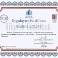 Resmi büyüt: certificate 3
