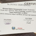 Resmi büyüt: certificate 30