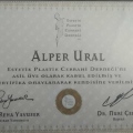 Resmi büyüt: certificate 3