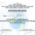 Resmi büyüt: certificate 2