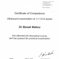 Resmi büyüt: certificate 17