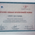 Resmi büyüt: certificate 8