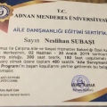 Resmi büyüt: certificate 11