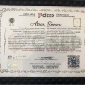 Resmi büyüt: certificate 10