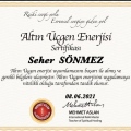 Resmi büyüt: certificate 21