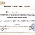 Resmi büyüt: certificate 2