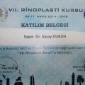 Resmi büyüt: certificate 2