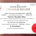 Resmi büyüt: certificate 1