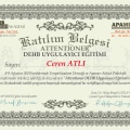 Resmi büyüt: certificate 1