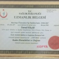Resmi büyüt: certificate 2