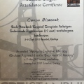 Resmi büyüt: certificate 9