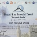 Resmi büyüt: certificate 5