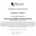 Resmi büyüt: certificate 2