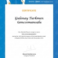 Resmi büyüt: certificate 8
