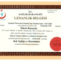 Resmi büyüt: certificate 3