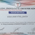 Resmi büyüt: certificate 7