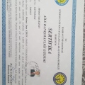 Resmi büyüt: certificate 6