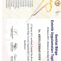 Resmi büyüt: certificate 2