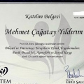 Resmi büyüt: certificate 9