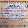 Resmi büyüt: certificate 1