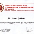Resmi büyüt: certificate 41