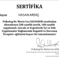 Resmi büyüt: certificate 1
