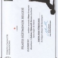 Resmi büyüt: certificate 3