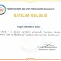 Resmi büyüt: certificate 22