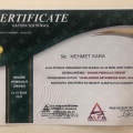 Resmi büyüt: certificate 13