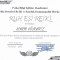 Resmi büyüt: certificate 20