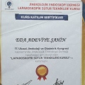 Resmi büyüt: certificate 2