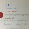 Resmi büyüt: certificate 1