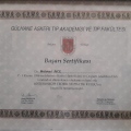 Resmi büyüt: certificate 2