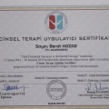 Resmi büyüt: certificate 1