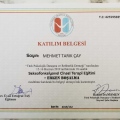 Resmi büyüt: certificate 1