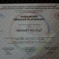 Resmi büyüt: certificate 22