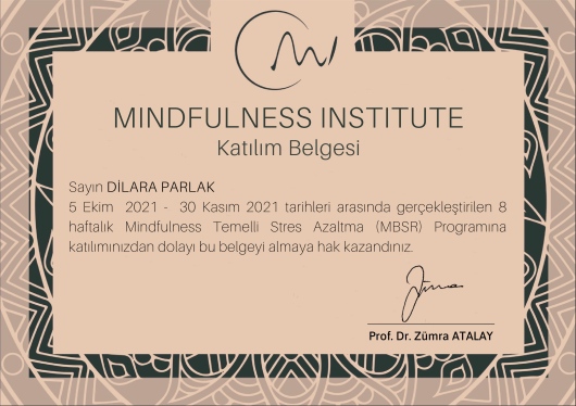 Dilara Parlak Tokat-0