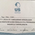 Resmi büyüt: certificate 14