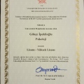 Resmi büyüt: certificate 1