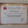 Resmi büyüt: certificate 1